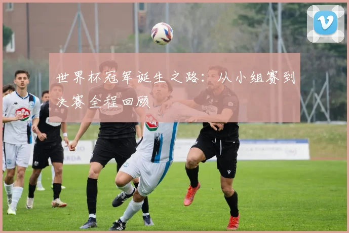 世界杯冠军诞生之路:从小组赛到决赛全程回顾