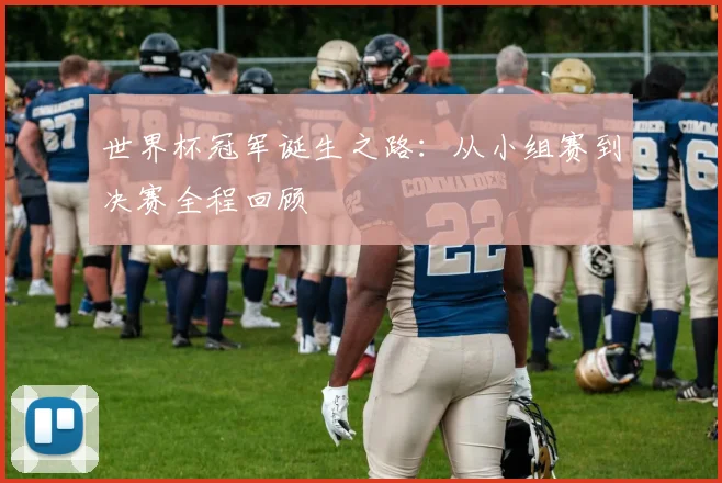 世界杯冠军诞生之路：从小组赛到决赛全程回顾