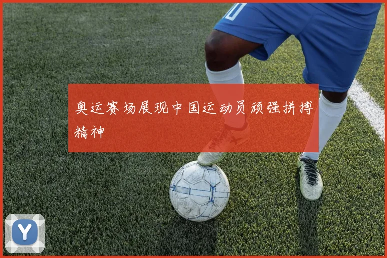 奥运赛场展现中国运动员顽强拼搏精神