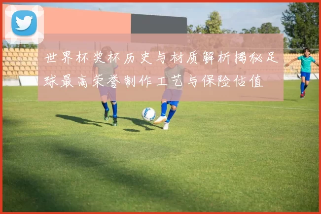 世界杯奖杯历史与材质解析揭秘足球最高荣誉制作工艺与保险估值