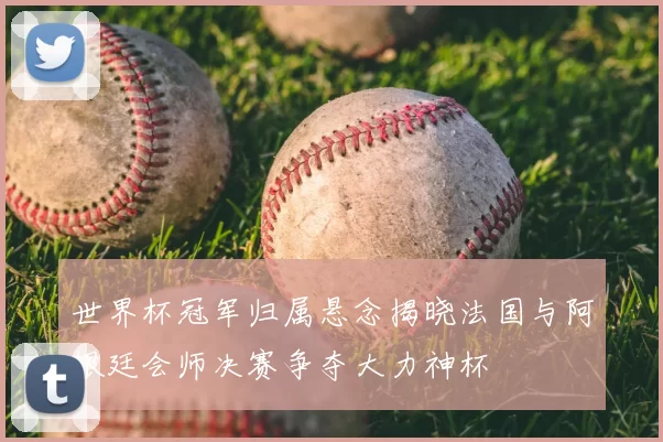 世界杯冠军归属悬念揭晓法国与阿根廷会师决赛争夺大力神杯